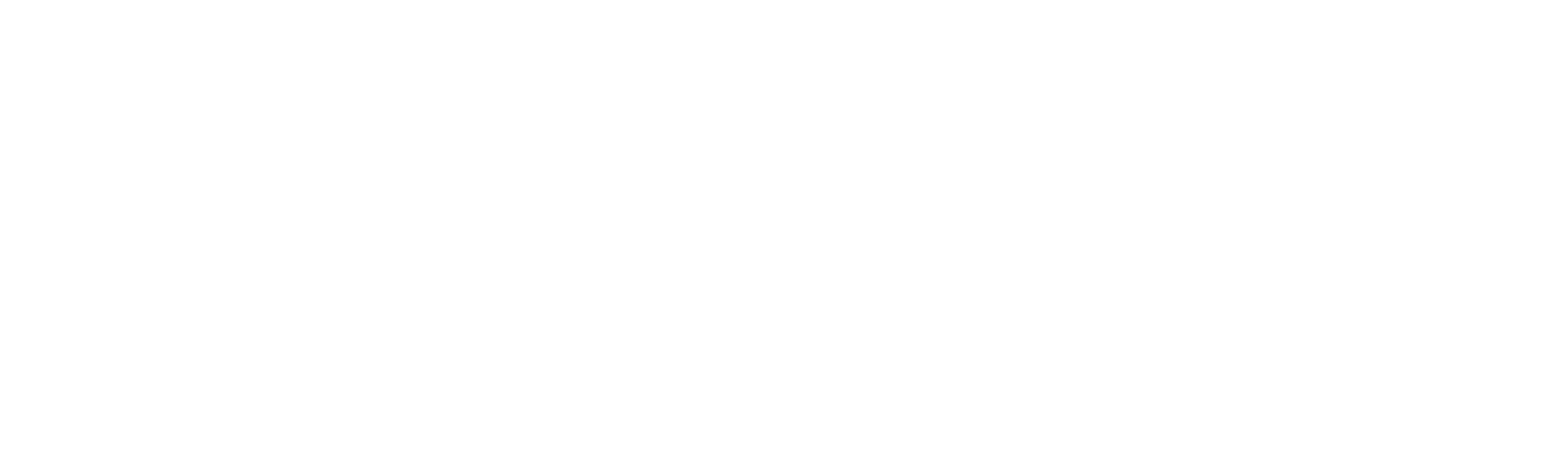 Global Guardian